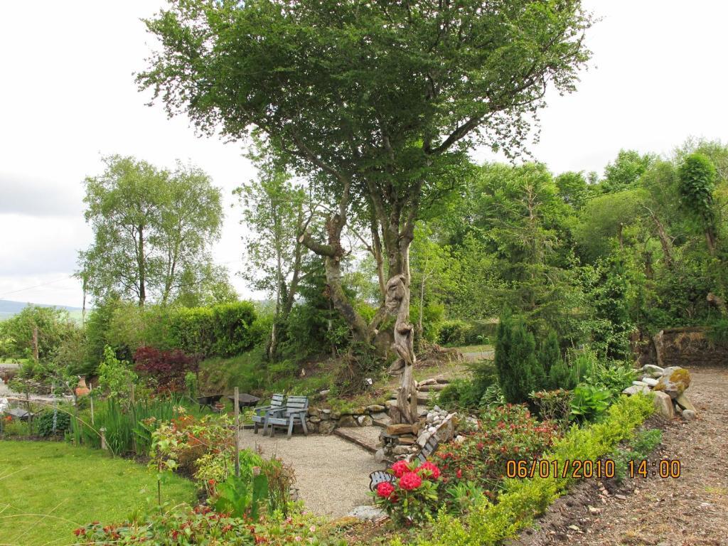 مبيت وإفطار لندنديري Five Oaks المظهر الخارجي الصورة
